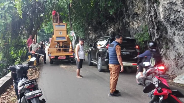 Penanganan Pohon Tumbang di Desa Iraonogeba dan Desa Fodo