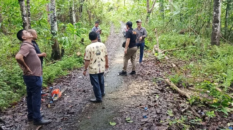 Penanganan Pohon Tumbang di Jalan Ewalida Bukit Desa Saewe