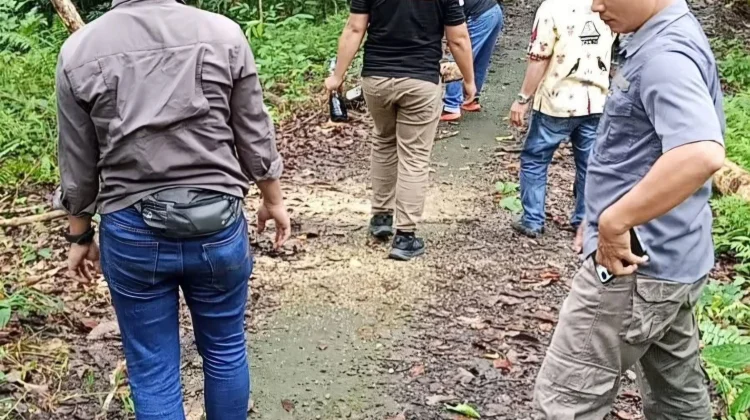 Penanganan Pohon Tumbang di Jalan Ewalida Bukit Desa Saewe