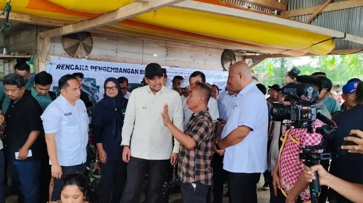 Tinjau Budidaya Rumput Laut di Lahewa, Bobby Nasution Dorong Tata Kelola dan Teknol