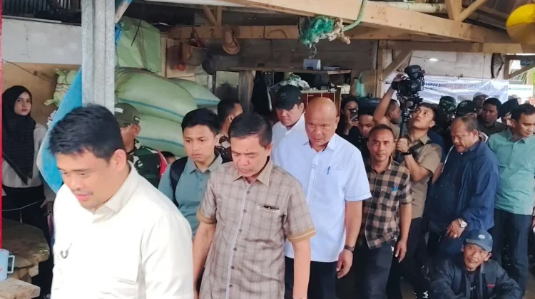Tinjau Budidaya Rumput Laut di Lahewa, Bobby Nasution Dorong Tata Kelola dan Teknol