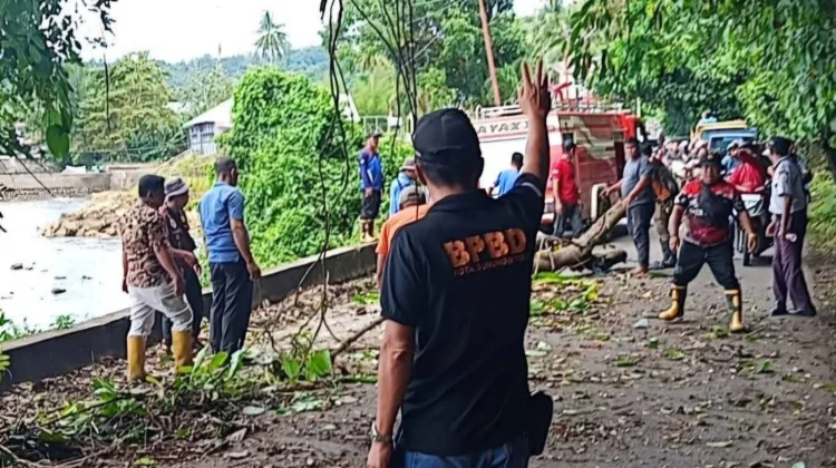 Penebangan Pohon Rawan Tumbang di Wilayah Kota Gunungsitoli