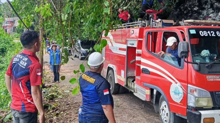Penebangan Pohon Rawan Tumbang di Wilayah Kota Gunungsitoli