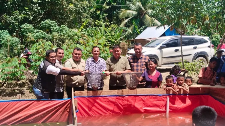 Kemensos Salurkan Solar Cell dan Bantuan Stimulan untuk KAT di Nias Utara