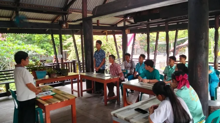 Mengenal Tanaman Obat Tradisional: Merawat Warisan Pengetahuan Leluhur