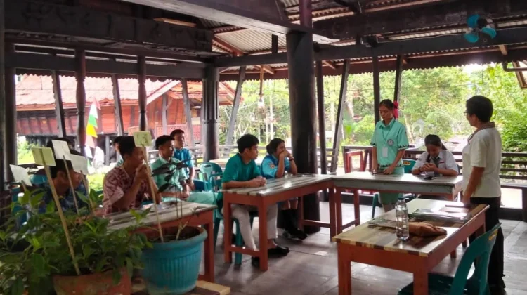 Mengenal Tanaman Obat Tradisional: Merawat Warisan Pengetahuan Leluhur