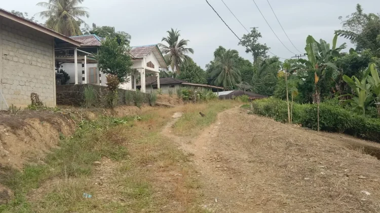 Guru Pelajar hingga Warga Meminta Pembangunan Jembatan