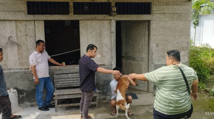 Pemdes Tulumbaho Lakukan Vaksin Anjing Rabies