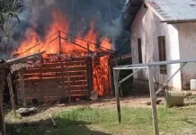 Rumah Warga Berua Namohalu Esiwa Ludes Terbakar, Tidak Ada Korban Jiwa