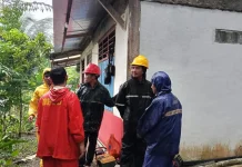 TRC BPBD Kota Gunungsitoli Evakuasi Pohon Tumbang di Desa Onozitoli Siforoasi