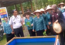 TP PKK Sumut Monitoring Program Aku Hatinya PKK di Desa Dahana Tuagala'oyo