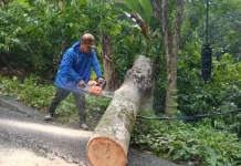 Penanganan Pohon Tumbang di Desa Iraonogeba dan Desa Fodo