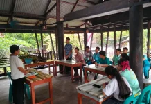 Mengenal Tanaman Obat Tradisional: Merawat Warisan Pengetahuan Leluhur