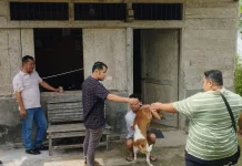 Pemdes Tulumbaho Lakukan Vaksin Anjing Rabies