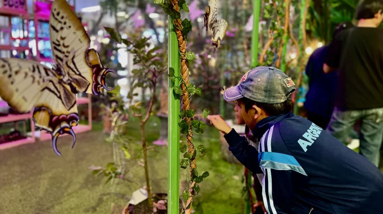 Explore The Jungle Hadirkan Edukatif dan Kebahagiaan Lintas Generasi di Ibu Kota