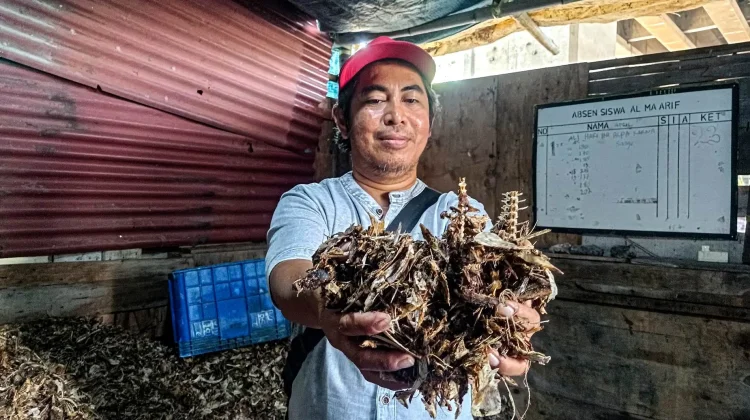 Dari Limbah Jadi Cuan, UMKM Cilincing Naik Kelas Bersama Bank Jakarta