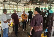 Pelaksanaan Uji Kompetensi Kejuruan SMKN 4 Jayapura