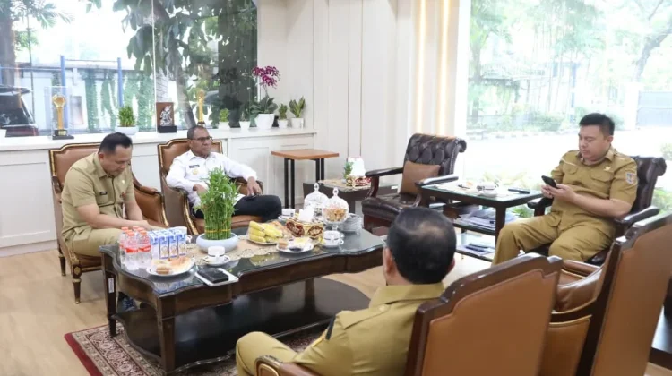 Wagub NTT dan Kemendagri Sinkronkan Kebijakan Penguatan Daerah
