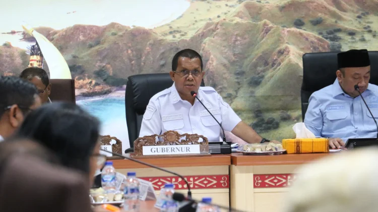 Terima Kunjungan Komisi X DPR RI, Gubernur Sampaikan Sejumlah Persoalan di NTT