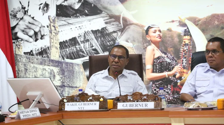 Terima Kunjungan Komisi X DPR RI, Gubernur Sampaikan Sejumlah Persoalan di NTT