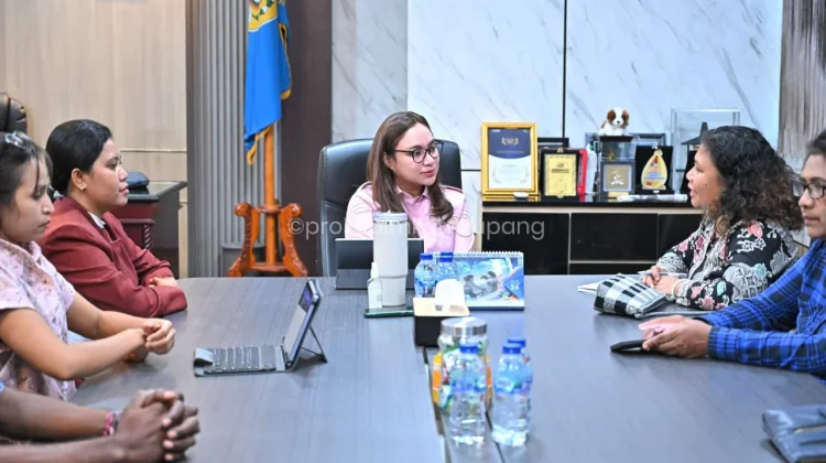 Kolaborasi Lintas Sektor Pemkot Kupang Perkuat Kesehatan Mental