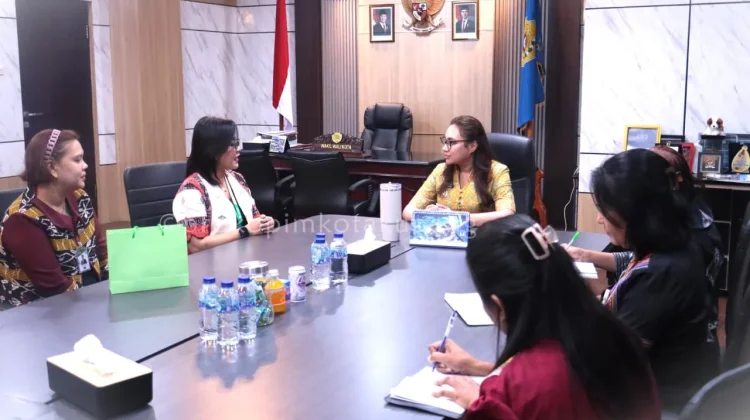 Pimpinan PT Larissa Karunia Sejahtera  Audiens Pemkot Kupang