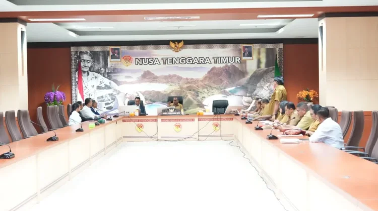 Berita Foto - Wagub NTT Dorong Kerjasama Investasi Bersama Timor-Leste ...