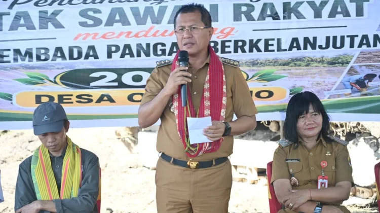 Bupati Kupang Pimpin Cetak Sawah Baru 77 Hektare di Desa Oelatimo