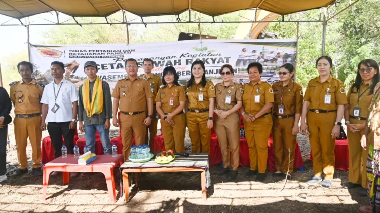 Bupati Kupang Pimpin Cetak Sawah Baru 77 Hektare di Desa Oelatimo