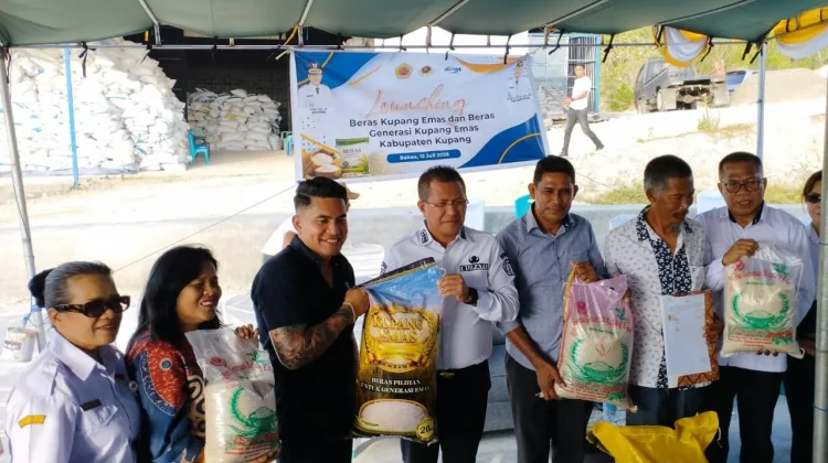 Kabupaten Kupang Kini Punya Beras Lokal Bermerek