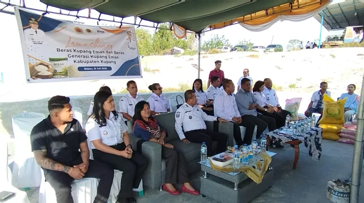 Petani Jadi Saksi Lahirnya Beras Kupang Emas