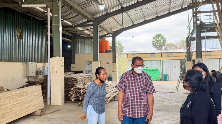 Wagub NTT Dorong Bambu Jadi Identitas Daerah dan Penggerak Ekonomi Masyarakat
