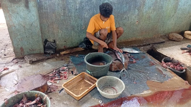 Mengais Rejeki dari Jasa Potong Ikan