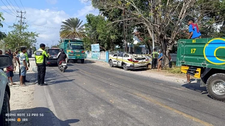di Kupang  Mobil Tertimpa Pohon akibat Angin Kencang