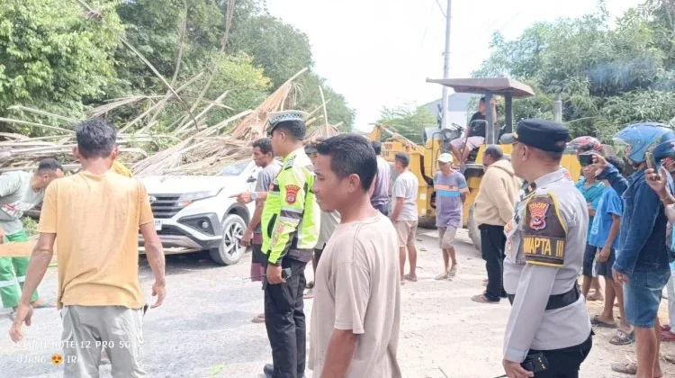di Kupang  Mobil Tertimpa Pohon akibat Angin Kencang