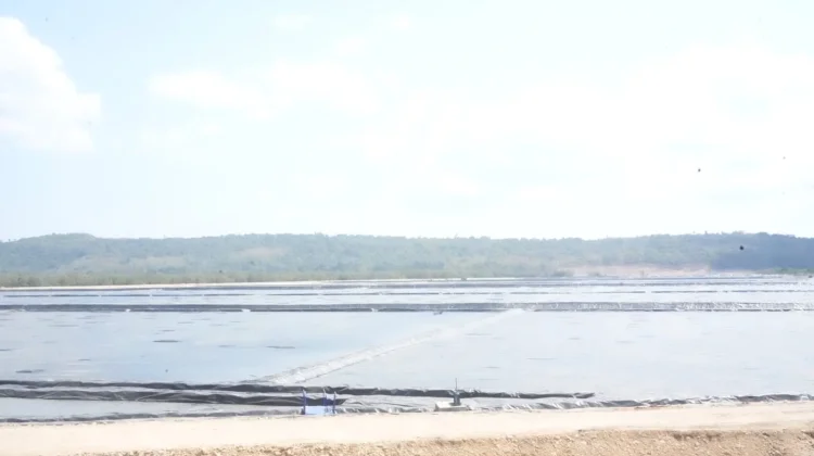 Rote Ndao Diproyeksikan Jadi Sentra Industri Garam Nasional