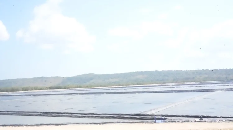Industri Garam Rote Diyakini Ciptakan Lapangan Kerja Baru