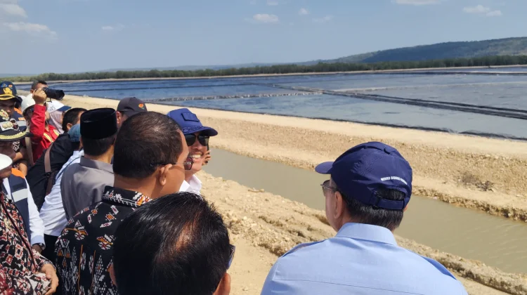 Garam Rote Siap Penuhi Kebutuhan Nasional