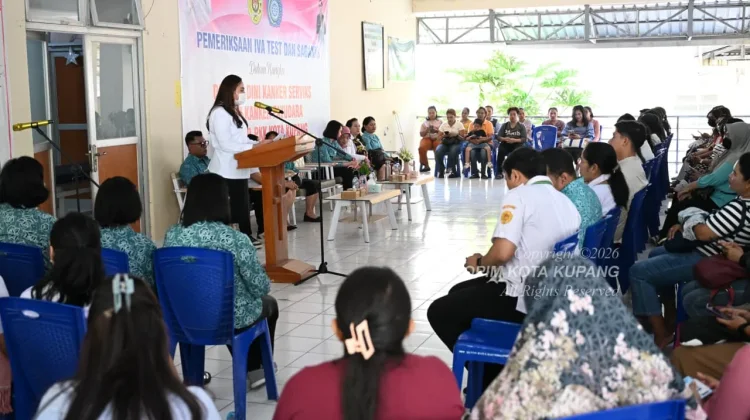 Kanker Leher Rahim Kanker Payudara Ancaman Serius Perempuan