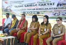 Bupati Kupang Pimpin Cetak Sawah Baru 77 Hektare di Desa Oelatimo