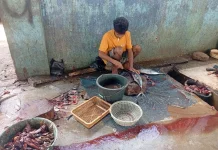 Mengais Rejeki dari Jasa Potong Ikan