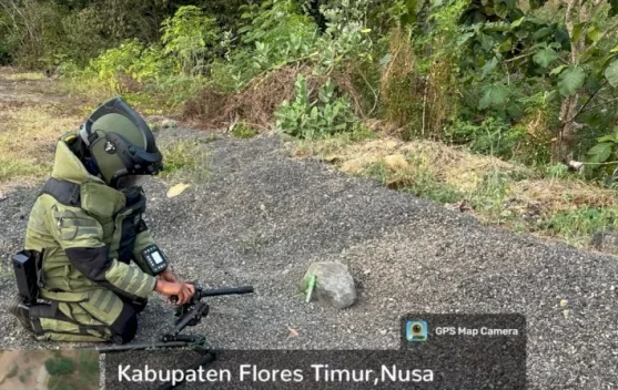 Berita Foto - Tim Jibom Brimob Polda NTT Musnahk…