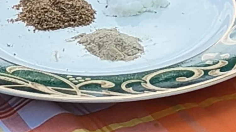 ABSULE, Siswa MTsN 12 Madiun Sukses Olah Makanan Sisa MBG Jadi Abon sukun lele