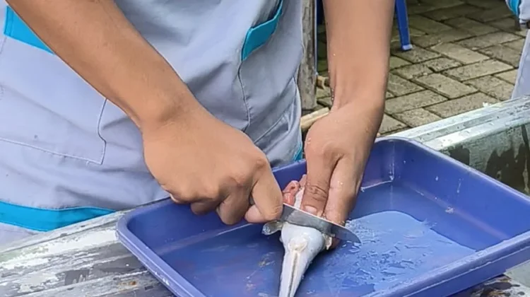 ABSULE, Siswa MTsN 12 Madiun Sukses Olah Makanan Sisa MBG Jadi Abon sukun lele