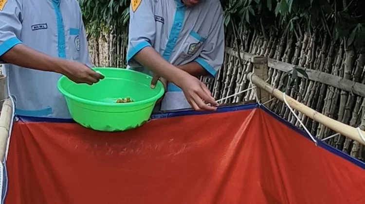 ABSULE, Siswa MTsN 12 Madiun Sukses Olah Makanan Sisa MBG Jadi Abon sukun lele