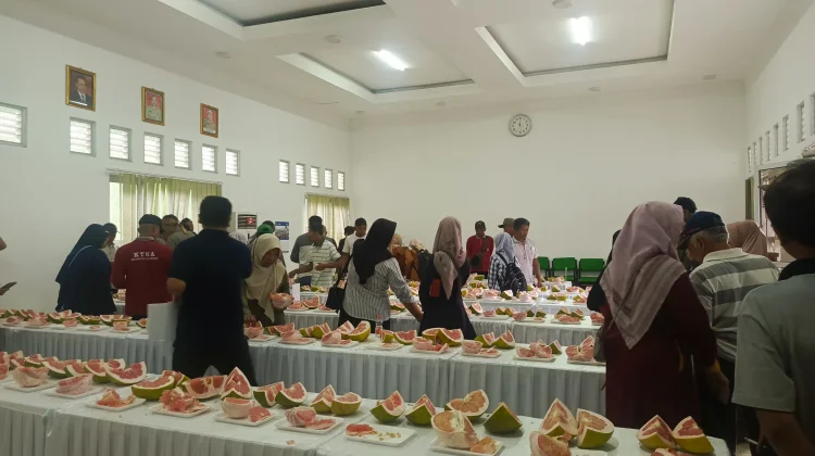 Jeruk Pamelo Jadi Basis Produksi Unggulan Magetan