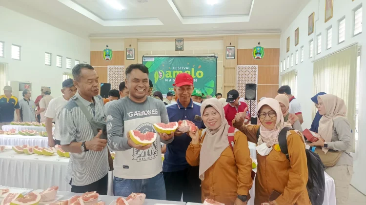 Proyeksi Andalan Magetan Berbagai Varietas Pamelo Dilombakan