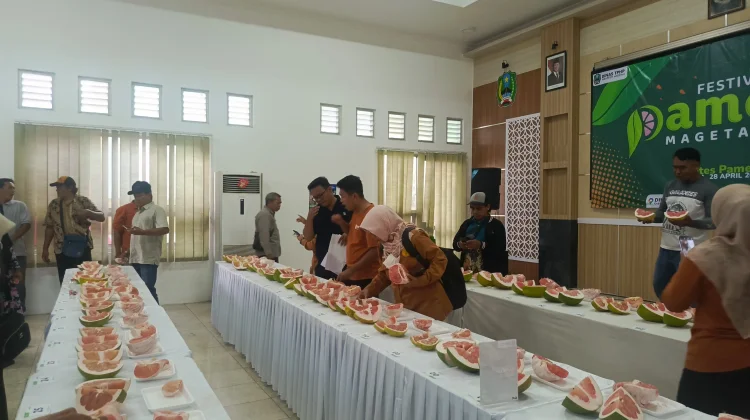 Daftar Pemenang Kategori Nambangan pada Lomba Pamelo Magetan
