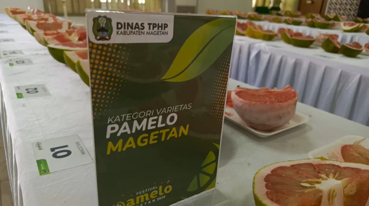 Pamelo Magetan Perkuat Citra Komoditas Unggulan Daerah, Ini para Pemenangnya