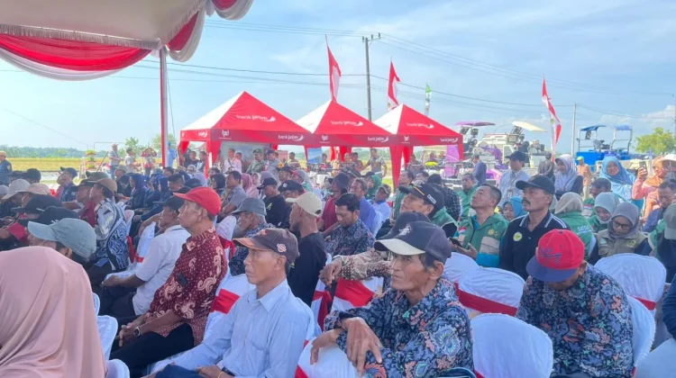 Gubernur Jawa Timur Hadiri Gerakan Panen dan Percepatan Tanam Padi di Kab. Madiun